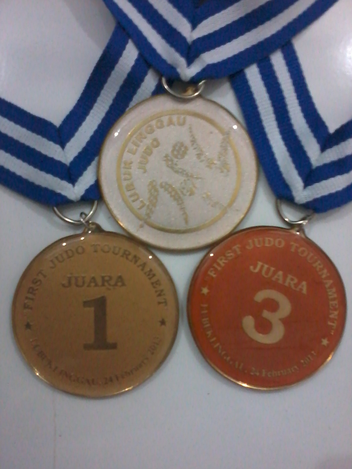 Обратная сторона медали. Большая медаль. Медали IBJJF. Медаль 03113. Медали 21 века.